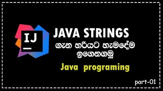Java Programming in sinhala Java Strings part-01