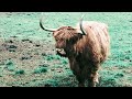 Ryan Davis - Brun (Matthias Meyer Remix)