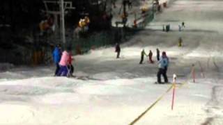 Max's Mogul Skiing(20101229).wmv