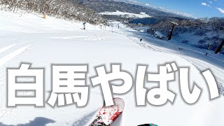 【最高すぎる！！】白馬47＆五竜でパウダーブチ当ててテンション爆上がりの1day！2024/12/09 オールラウンドな板は一日中楽しい！RICE28 TP8 154cm