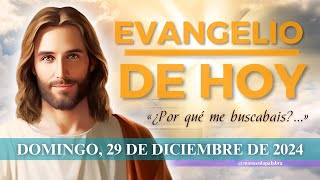 Evangelio de Hoy, Domingo 29 de Diciembre de 2024, Lc (2, 41-52): «¿Por qué me buscabais?...»