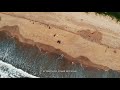 aerial view of beautiful and famous beach in pondicherry india 1191185