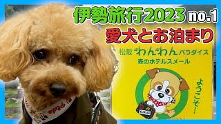 【トイプードルのテト】愛犬とお出かけお泊まり‼️『松阪わんわんパラダイス・森のホテルスメール』で宿泊。毎年恒例『伊勢旅行』#トイプードル #松阪わんわんパラダイス ＃伊勢神宮