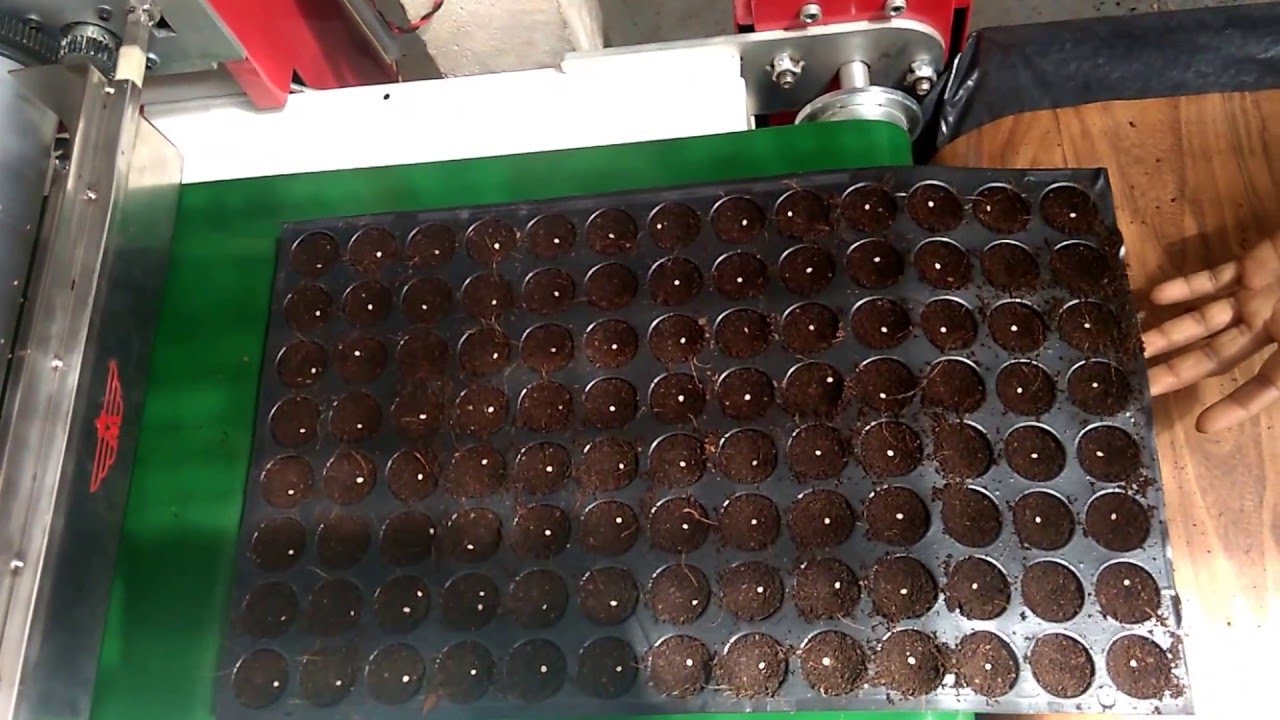Automatic Nursery Seeding Machine Youtube