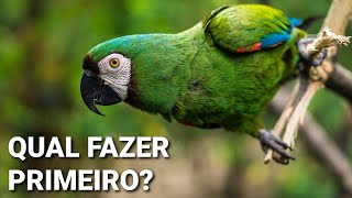 BIOLOGIA OU VETERINÁRIA - Qual fazer primeiro?