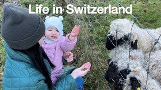 🇨🇭스위스 vlog | 스위스 키즈카페 첫 방문,동물농장에서 먹이주기🐏,운동하는 14개월 아기💪🏼(카이막,터키 부침개,Aarau 도시 방문)