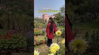 Exploring Jamia Millia Nursery | Flowers 🌺 #flowers #jamia #shorts #short #shortvideo #jmi #college