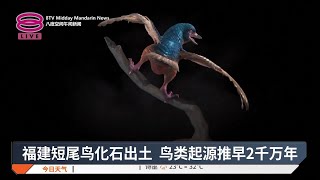 中国八闽鸟出土改写演化史 鸟类起源追溯1.64亿年前【2025.02.14 八度空间午间新闻】