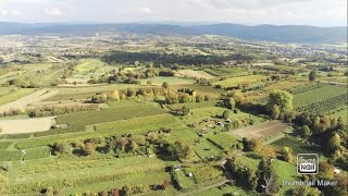 Weinregion Baden, Parrot ANAFI Drone Footage 4k