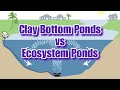 How we treat a clay bottom pond