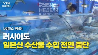 러시아도 일본산 수산물 수입 전면 중단 / YTN 사이언스