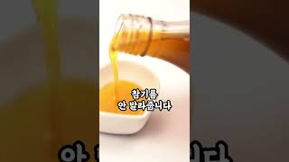 요즘 김밥 집 김밥 특징 5가지