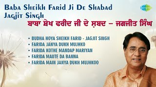 Baba Sheikh Farid Ji Shabad  | Jagjit Singh | ਜਗਜੀਤ ਸਿੰਘ | Budha Hoya Sheikh Farid