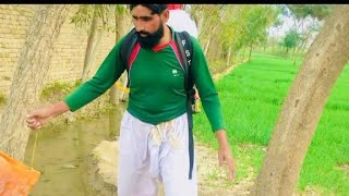 Tubewell vlog aaj humne kadam ko subah ki village Punjab Sharif 2 season 11😱😱💪🌾