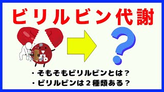 コレだけでビリルビン代謝が理解できる【看護師国家試験対策】