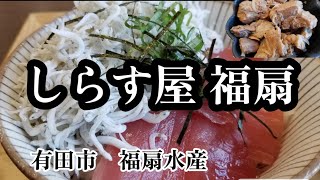 漁師のお店 絶品の山盛りしらすを食べに行ってきた【しらす屋 福扇】