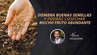 Siembra buenas semillas y podrás cosechar mucho fruto abundante | LHDE | 19 de noviembre, 2024