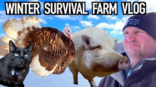 Prioritizing Our Farm Animals Winter Survival