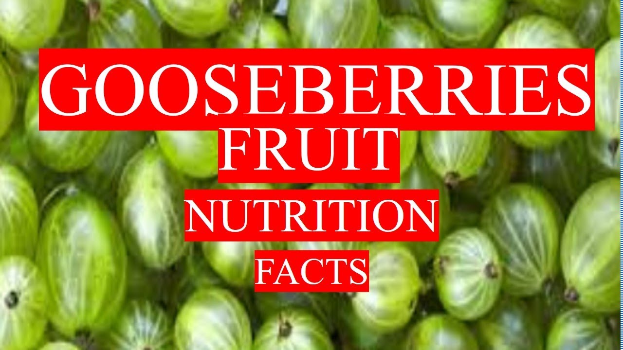 GOOSEBERRIES FRUIT NUTRITION FACTS AND HEALTH BENEFITS - YouTube