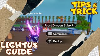 LIGHTUS GUIDE | LEVELING TRIK