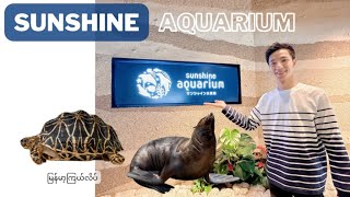 Sunshine Aquarium Ikebukuro Tokyo Japan| サンシャインアクアリウム