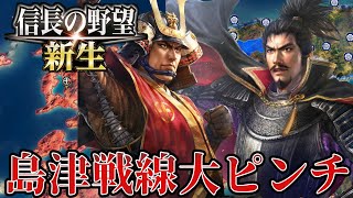 【信長の野望・新生】島津の超大軍に織田家必死の防衛戦！！【織田家上級プレイ】 #19