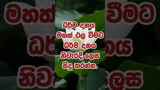 ධර්ම දානය නිවැරදි ලෙස