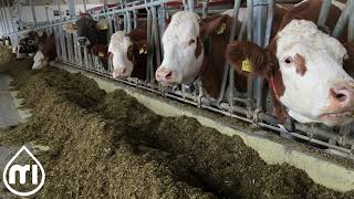 Impulse Air on a Milking Robot Milker in Germany