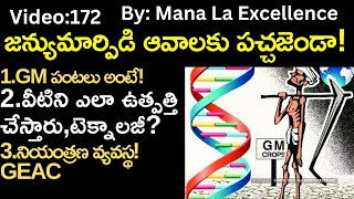 జన్యుమార్పిడి ఆవాలకు పచ్చజెండా||GM Mustard,GEAC explained by Mana La Excellence