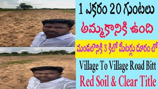 1 ఎకరం 20 గుంటలు భూమి || డాంబర్ రోడ్డుకి అనుకోని || #srinivasagriculturelands