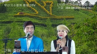 부산가수협회 황태산TV 황태산 라이브가요방송 진행