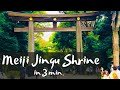 【4K】Meiji Jingu Shrine, Tokyo in 3 minutes（100 years Anniversary） | 明治神宮 鎮座100年大祭