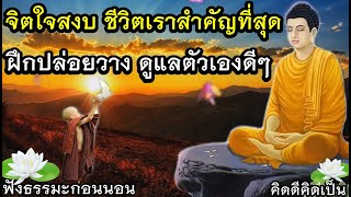 ฟังธรรมะก่อนนอน ฝึกปล่อยวาง คิดบวก เวลาทุกข์🙏ฟังแล้วหลับสนิท(943)14