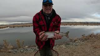 Fishing For Trout At the Hinkson Slough At the Mason Valley wildlife Refuge Using Golden state Min