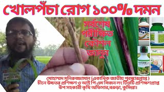 ধানের খোল পঁচা রোগ দমনে 4G ছত্রাকনাশকের চমক দেখুন।Control Sheath Rot In Rice। Paddy। Dhan Ki Bimari