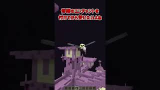 【マイクラ】上級者でも意外と知らないエリトラの仕様！！【解説】【紹介】#Shorts