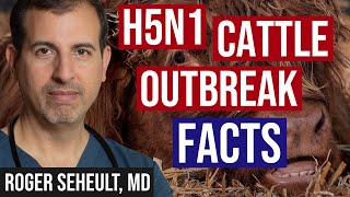 H5N1 Cattle Outbreak: Background and Currently Known Facts
