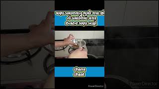 પલાળિયા વગર ઇન્સ્ટન્ટ ચણા બાફો #chanachaat #shorts #shortvideo