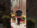 给大家拜年啦！ 祝大家新年快乐，阖家幸福，蛇年顺遂！蛇年快乐