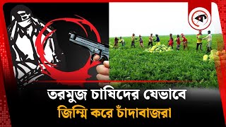 তরমুজ চাষিদের যেভাবে জি-ম্মি করে চাঁদাবাজরা | Watermelon Cultivation | Kalbela