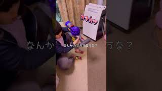 お掃除チャレンジ#パパと娘 #ほっこり#いやし#癒し #癒し動画 #元気#子育て動画#おもしろ動画#shorts