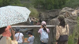 天王寺動物園が営業再開 大阪、約1カ月半ぶり