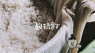 味噌作り　麹を醸す　米麹　作り方