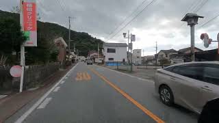 【車載動画 /5.3K60p】熊本県八代市日奈久温泉、国道３南に、ブンタン（２０２４年１２月１４日）