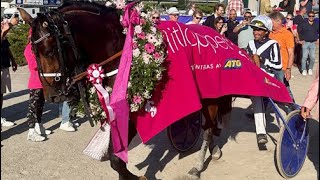 HORSY DREAM (Eric Raffin) - Elitloppet Final