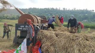 Rice Thresher Machine Nepalese Village Life || छिटो र सजिलो