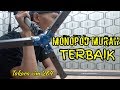 Monopod murah terbaik!!! - review takara VIM 264