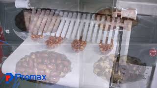 Promax Thermoforming Vacuum Packaging Machine