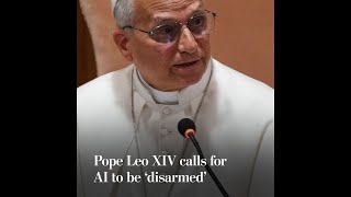 Pope Leo XIV calls for AI to be ‘disarmed’