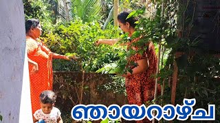 ഉച്ച കഴിഞ്ഞപ്പോ കുറച്ചു മങ്ങിപ്പോയി😊#ammakkili #happiness #minivlog #life #positivevibes #family